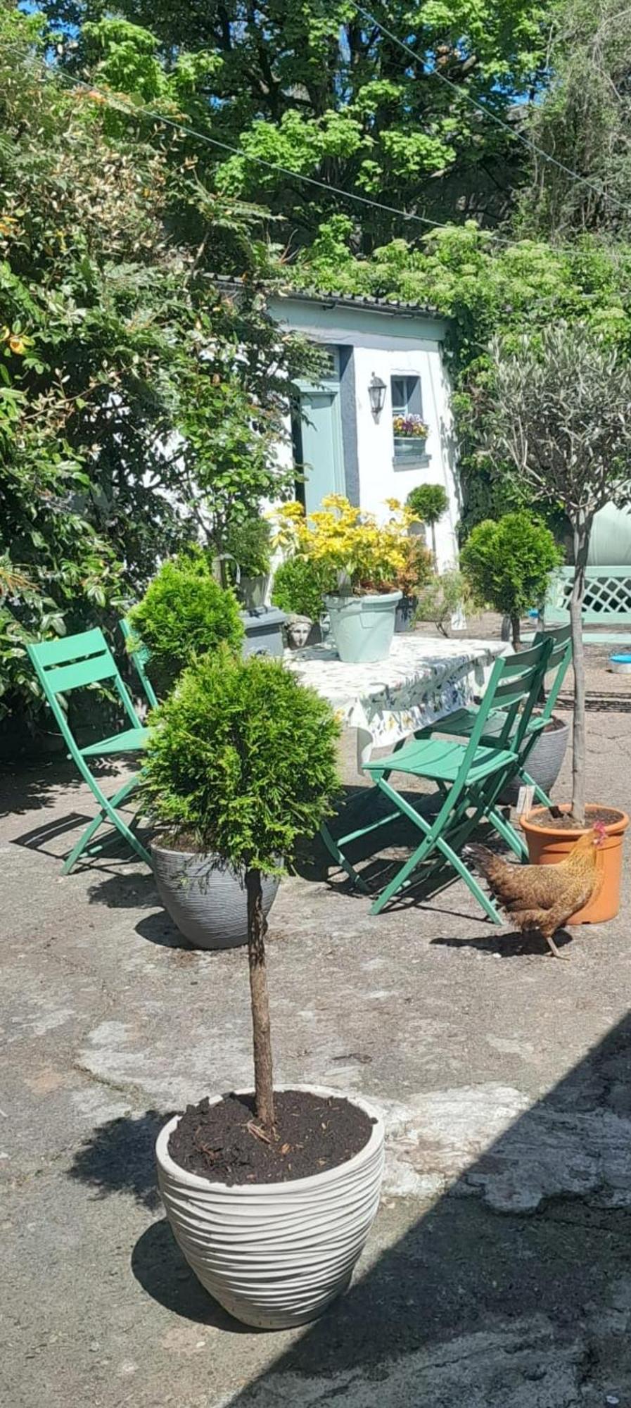 Saint Martin'S Bed And Breakfast Bandon Exterior photo