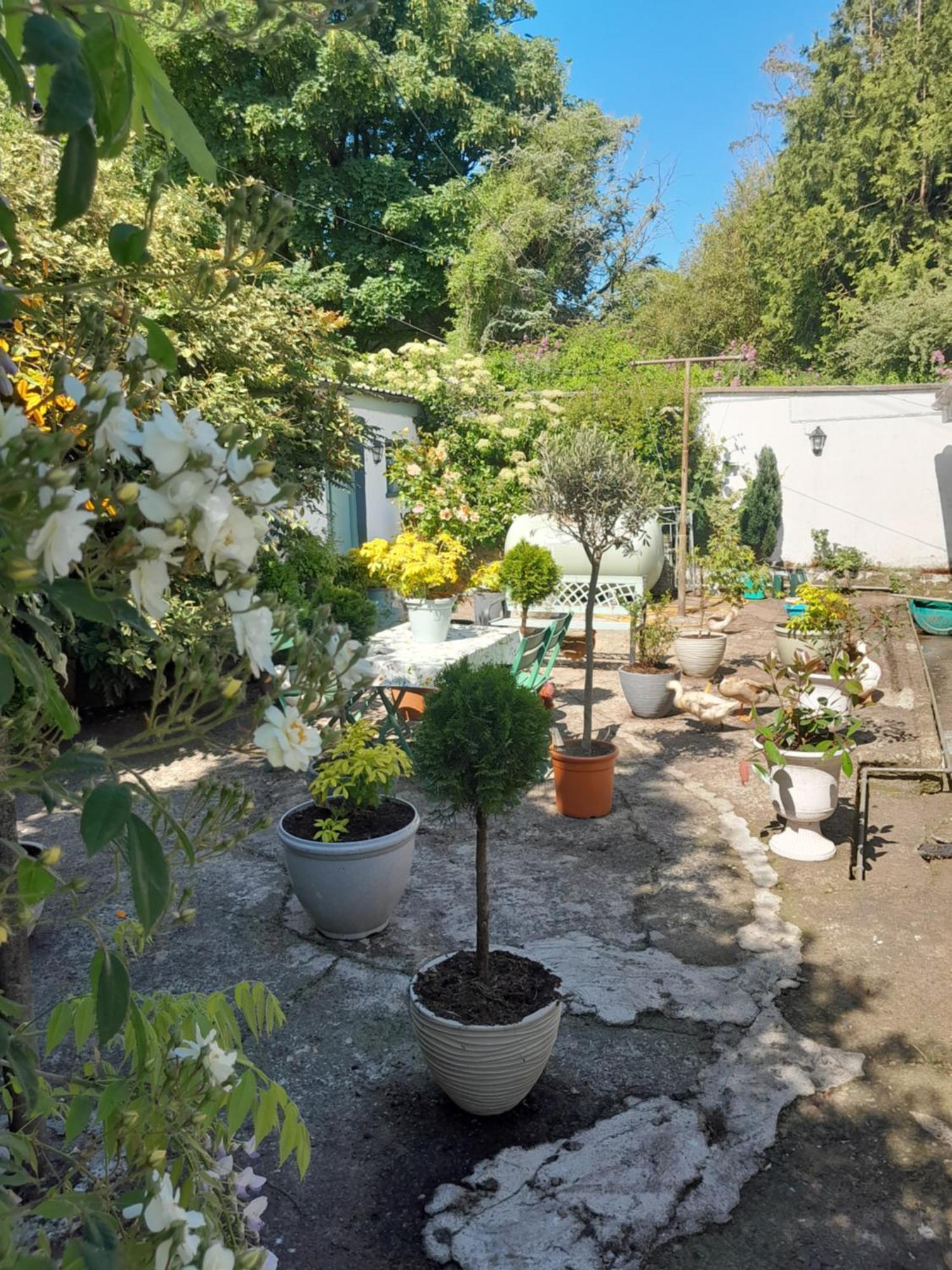 Saint Martin'S Bed And Breakfast Bandon Exterior photo